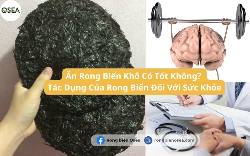 Ăn Rong Biển Khô Có Tốt Không? Tác Dụng Của Rong Biển Đối Với Sức Khỏe